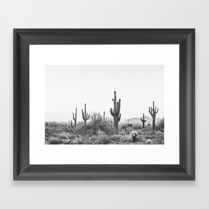ARIZONA DESERT V / Scottsdale Framed Art Print