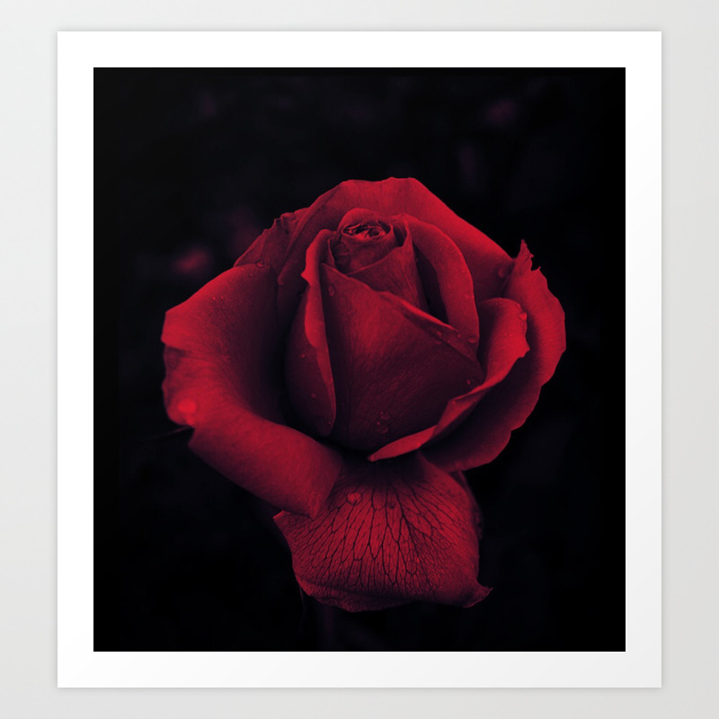 Gothic Rose Print Art Print By Fern97 Society6
