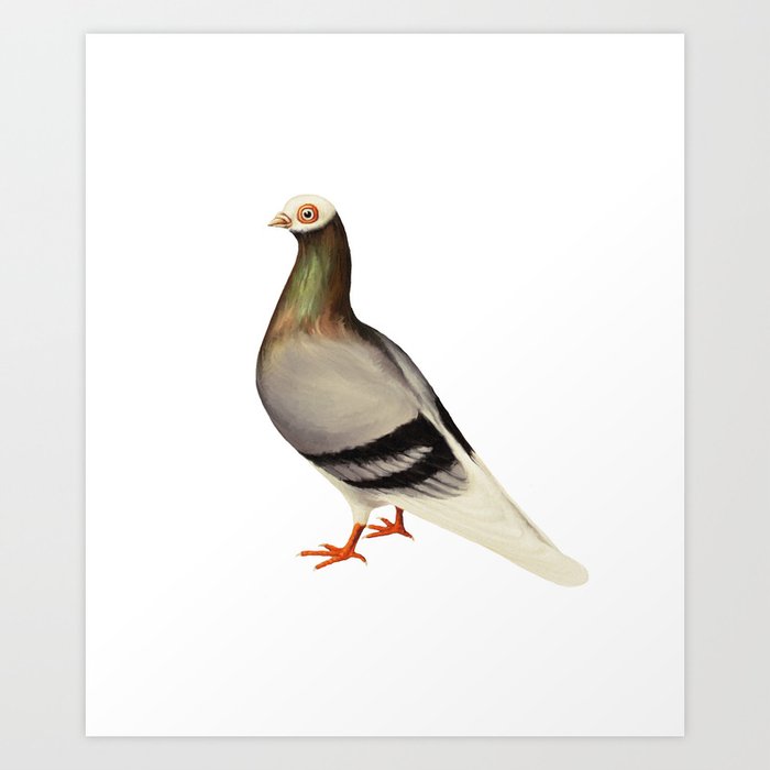 Le Pigeon Art Print