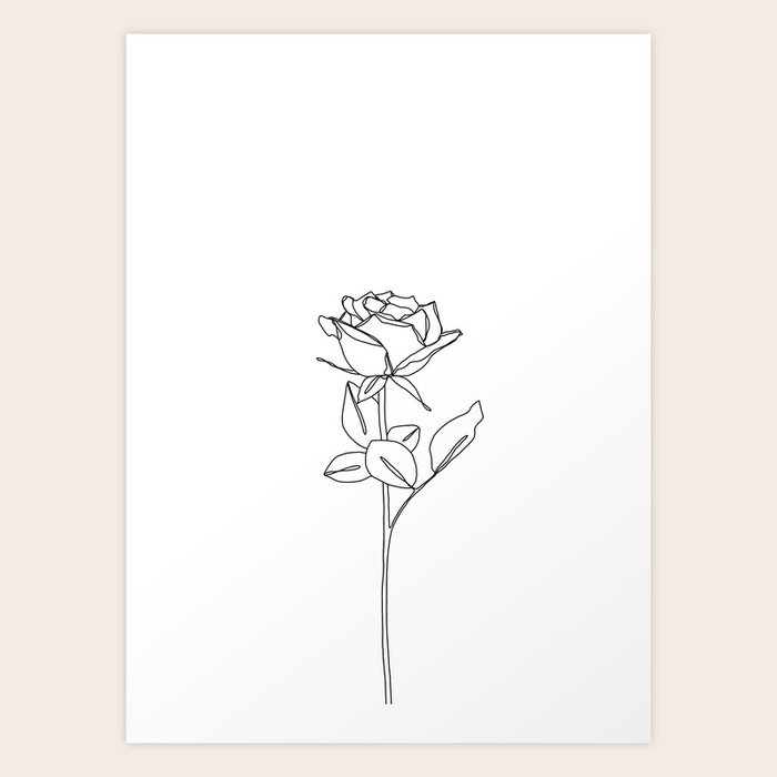 Botanical Floral Illustration Line Drawing Rose Bud Art Print By Thecolourstudy