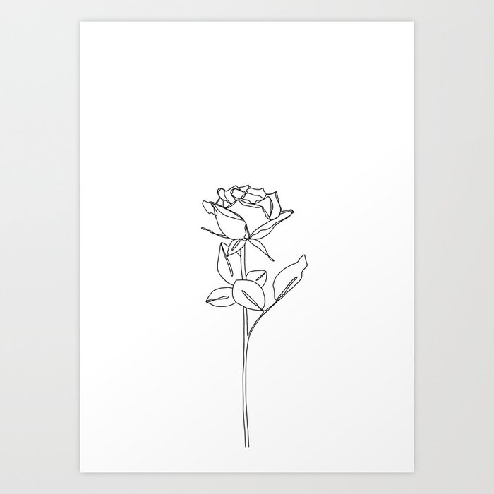 Botanical Floral Illustration Line Drawing Rose Bud Art Print By Thecolourstudy Society6
