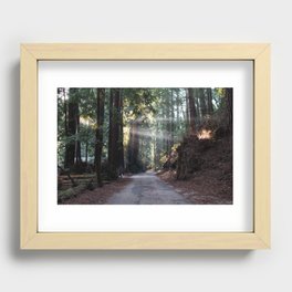 Sunrise in the Redwoods Recessed Framed Print
