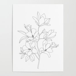 Minimal Line Art Magnolia Flowers Poster