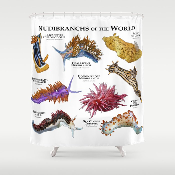 Nudibranchs of the World Shower Curtain