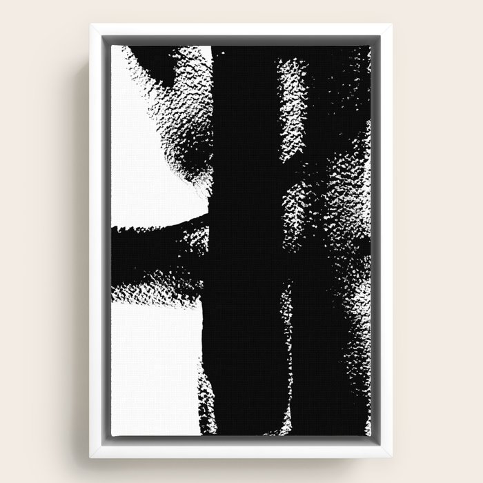 Framed Canvas