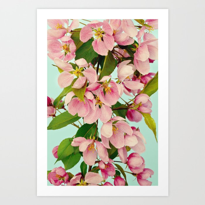 Hello Spring - Pastel Pink Cherry Blossom Flowers Art Print