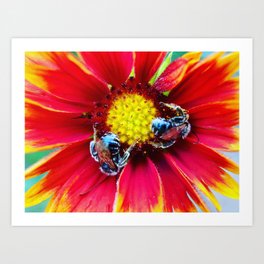Bees Art Print