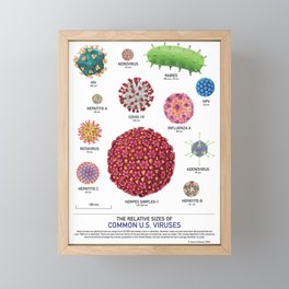 The Relative Sizes of Common U.S. Viruses Framed Mini Art Print