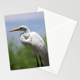 Great Egret Three - Utah Stationery Card