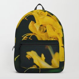 Beautiful yellow flower on black background - Botanical Photography #Society6 Backpack | Happy, Romantic, Botanical, Light, Photo, Digital, Bloom, Yellow, Flowers, Black 