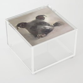 Keno Acrylic Box