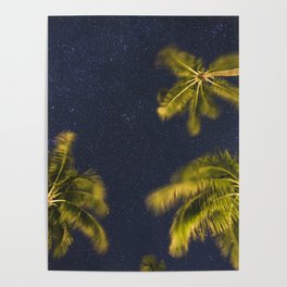 Palm trees at night against starry sky Poster