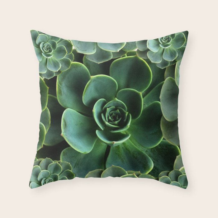 jade green throw pillows
