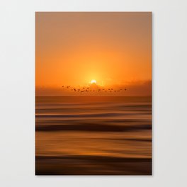 Birds flying across a sunset at the beach Canvas Print