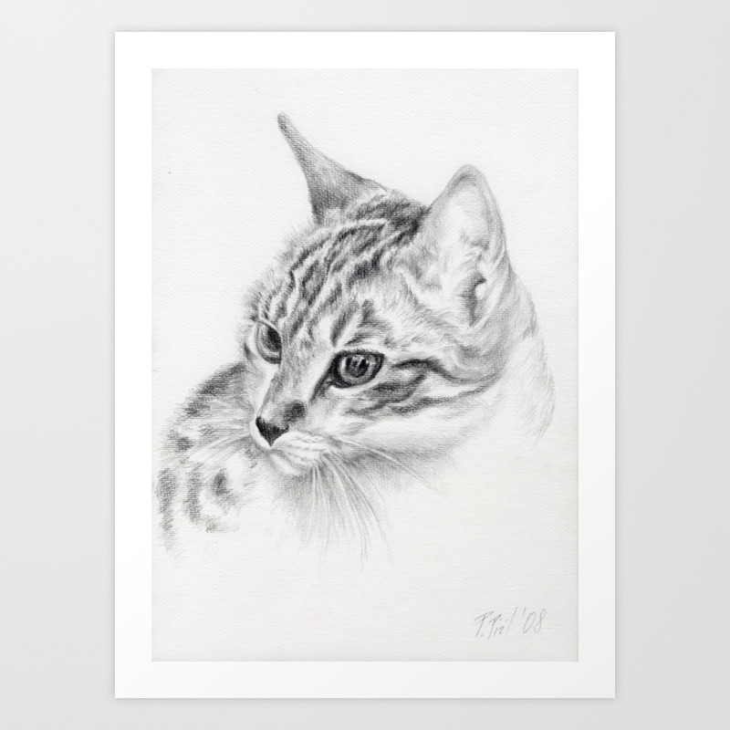 Tabby Cat Portrait Graphite Pencil Drawing Pet Illustration Decor
