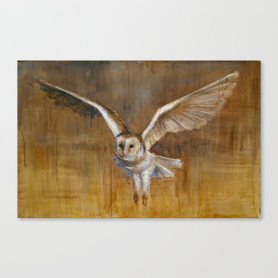Barn Owl in Flight Canvas Print