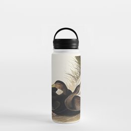 Dusky Duck from Birds of America (1827) by John James Audubon, etched by William Home Lizars.  Water Bottle