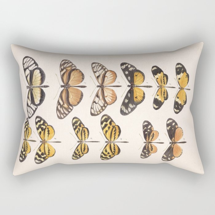 Vintage Scientific Anatomical Insect Butterfly Illustration Vintage Hand Drawn Art Rectangular Pillow