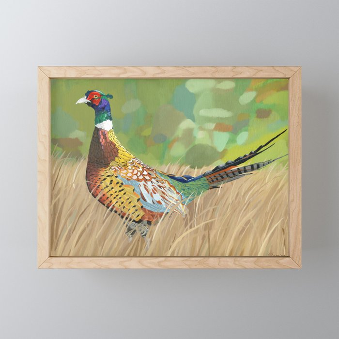 Pheasant Framed Mini Art Print