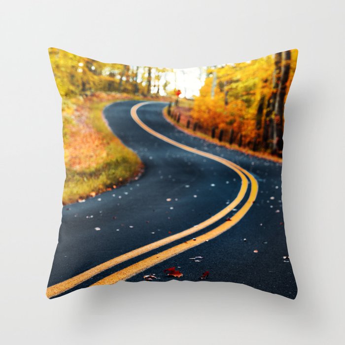 road in autumn Throw Pillow