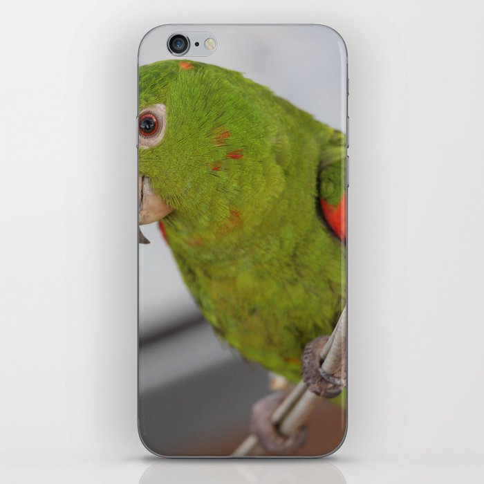 Brazil Photography - Green Parrot Sitting On A Thin Rope iPhone Skin