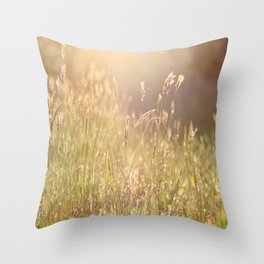 Soft morning sun light shining on the dew on sweet vernal grass. Throw Pillow