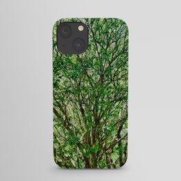 Muir Woods Study 23 iPhone Case