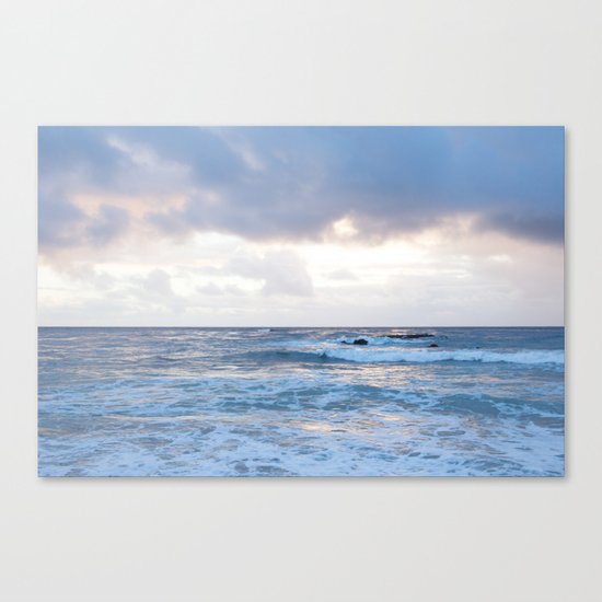 Momentarily Canvas Print