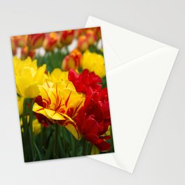 Tulips 1 Stationery Cards