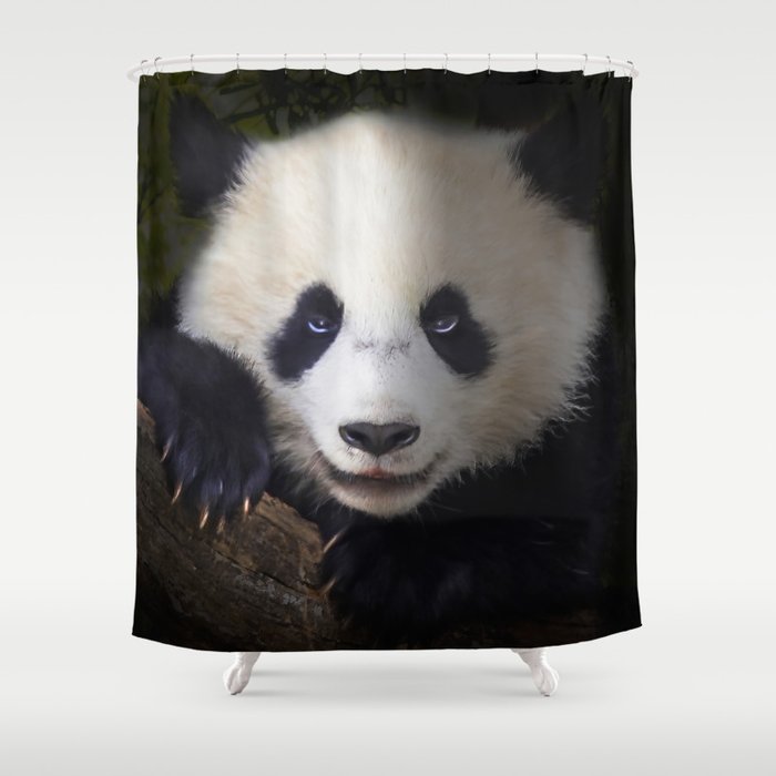 Panda bear portrait Shower Curtain