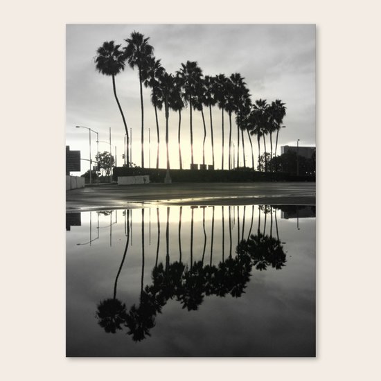 Butterfly Canvas Print