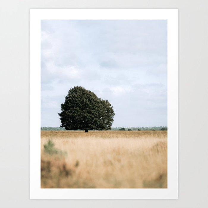 Minimalist Single Tree | Nature Photograph Holland Art Print