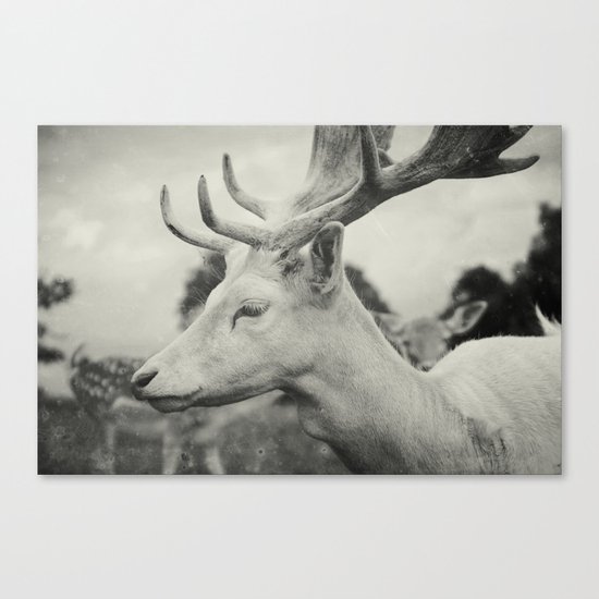 Last King (Ultimate) Canvas Print