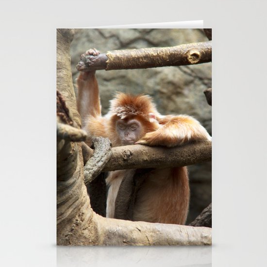 Monkey Stationery Cards