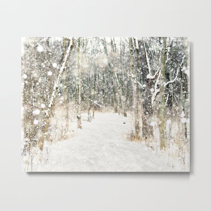 Winter Woods Metal Print