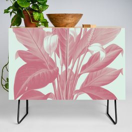 English Ivy Credenza