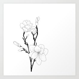 Branch of Magnolias Art Print