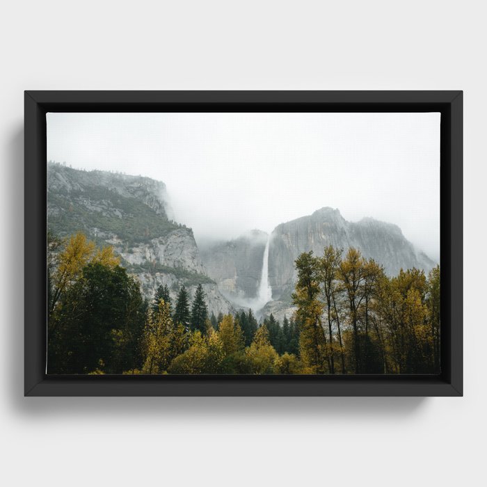 Framed Canvas