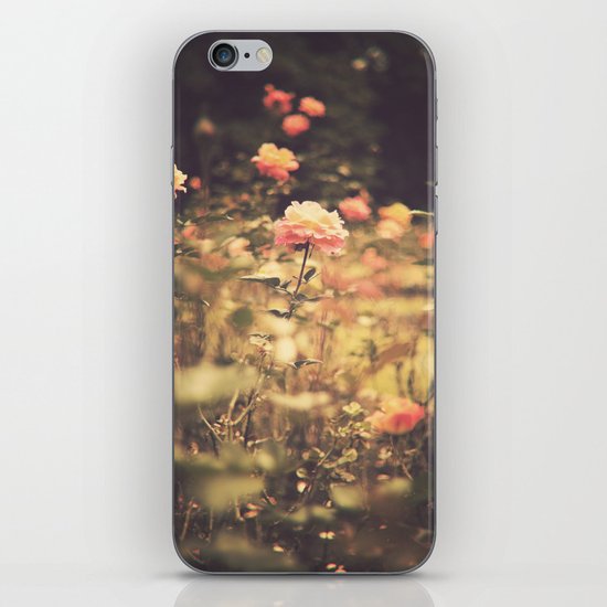 One Rose in a Magic Garden (Vintage Flower Photography) iPhone & iPod Skin