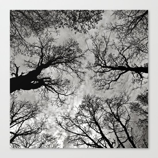 Meditative Power of Trees Canvas Print