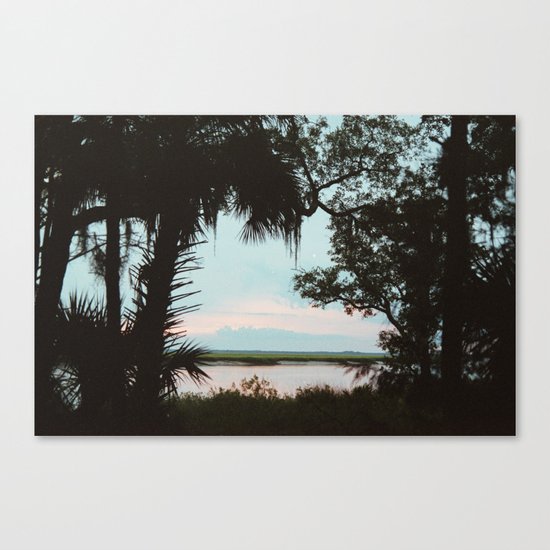 Cumberland Island Canvas Print