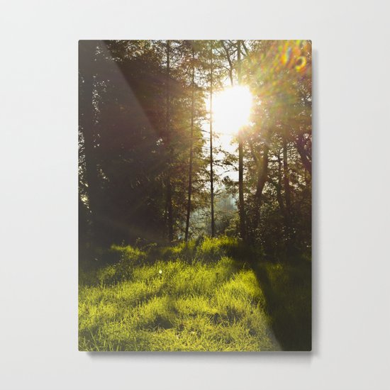 Morning Atmosphere Metal Print