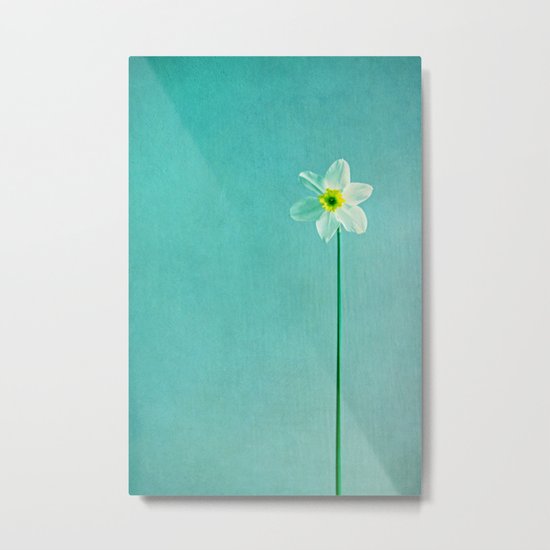 narcisse Metal Print