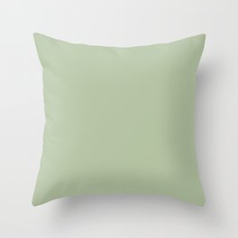 CELADON GREEN solid color Throw Pillow