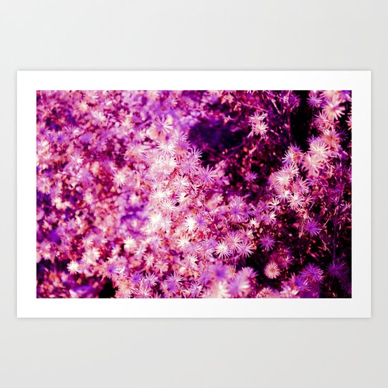 PINKY STARS Art Print