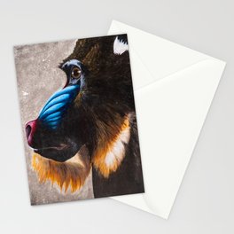 Baboon Stationery Cards