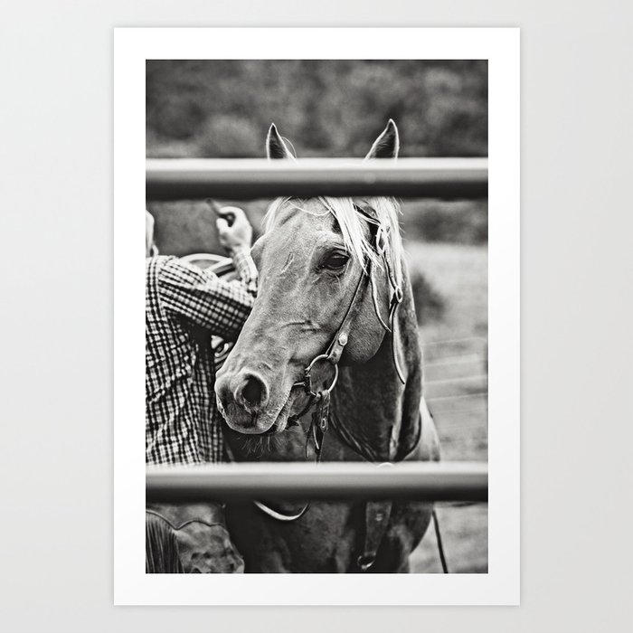 Black & White Saddling Horse Photo Art Print