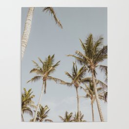 Palmtrees for sky / Color - Palm stories Artprint Poster