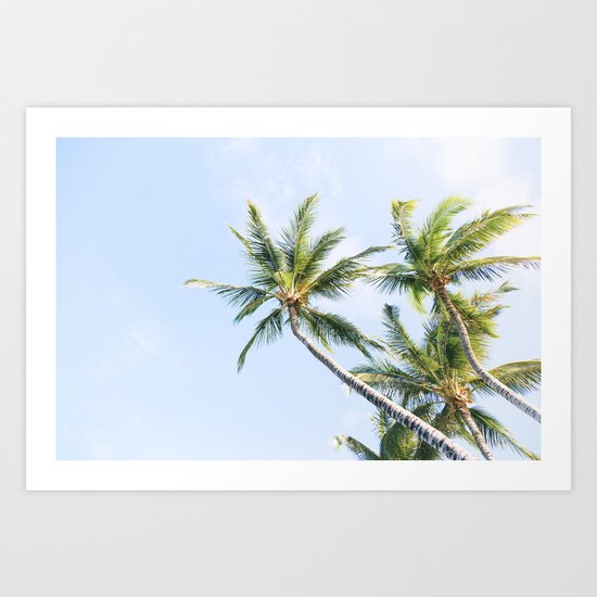 Palm trees Art Print