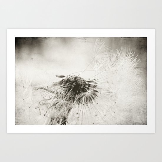 wind swept Art Print